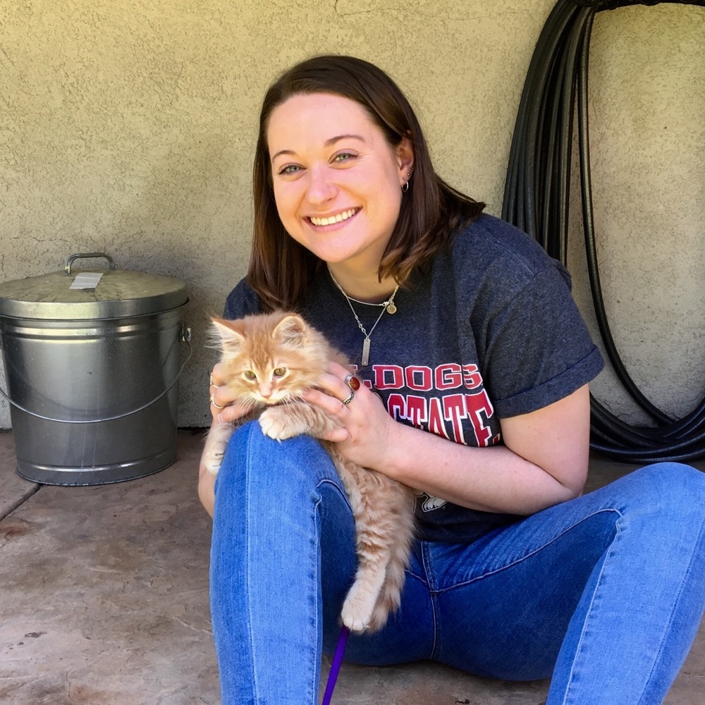 Meet your Posher, Morgan